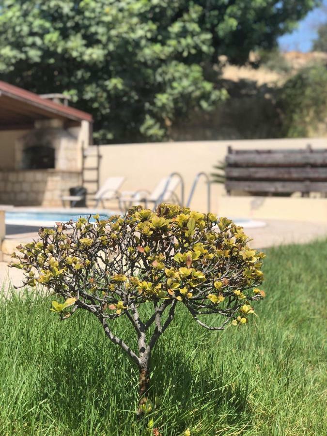 Afroditi House Stroumbi Exterior foto